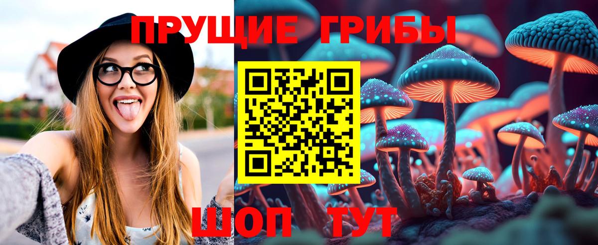 Псилоцибиновые грибы мицелий Карачаевск